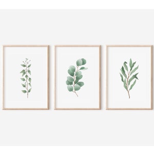 Arte murale di eucalipto, Set di 3 stampe, Pittura ad acquerello di eucalipto, Stampa murale verde, Arte botanica, Stampa di foglie di acquerello, Senza cornice