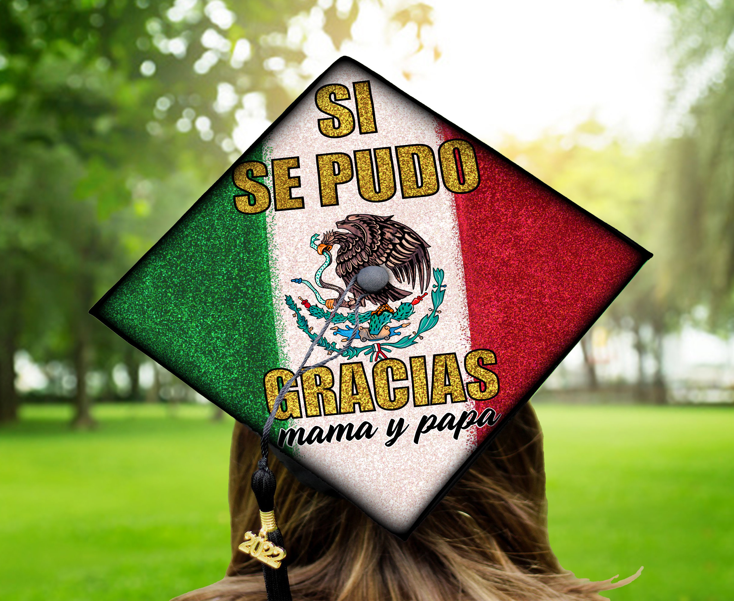 La Si Se Pudo La Si Se Pudo