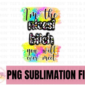 I&#39;m The Nicest B*tch You Will Ever Meet, PNG, Sublimation, Instant Download, Digital Download, Cheetah Print, Tshirt, Bleached Tshirt