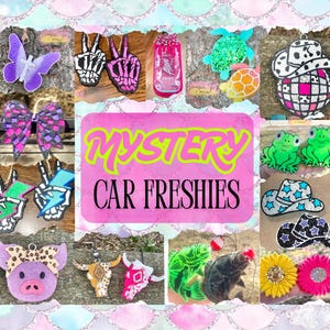 Mystery Car Freshies | Wholesale Freshies | Bundle Car Freshies | Bull Car Freshie | Boutique Car Freshies | Western Freshies |