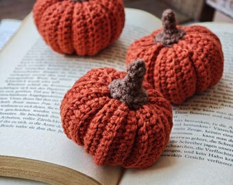 Crocheted pumpkin, crocheted pumpkin, autumn decoration, pumpkin decoration, decoration for autumn, table decoration, Halloween, crocheted vegetables