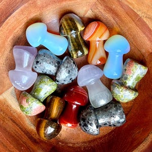 May include: A collection of polished gemstone mushroom carvings in a wooden bowl. The mushrooms are made from various stones, including amethyst, tiger's eye, jasper, and opal.