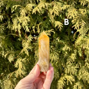 Natural Golden Healer Quartz Tower (Choose your own) image 2
