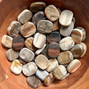 Natural petrified wood mini flat stone, Petrified wood flat stone, Flat stone, Crystal flat stone, Mini flat stone