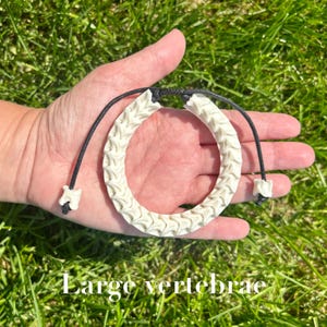 May include: A cream-colored bracelet made of vertebrae, with a black adjustable cord. The bracelet is held in a hand against a backdrop of green grass. The text "Large vertebrae" is at the bottom of the image.