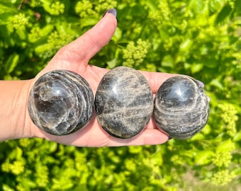 Natural Black Moonstone Palm Stone (Choose your Own)