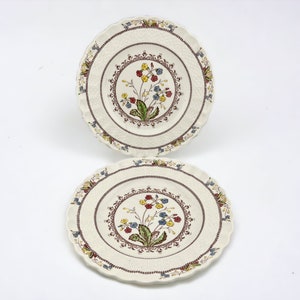 Spode China Cowslip Bread and Butter Plate (BBM2) 6 1/2&quot;, Set of 2