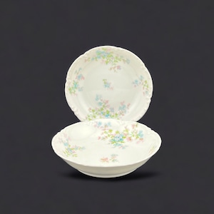 Theodore Haviland Schleiger 29 - FRUIT/DESERT BOWL with Pink and Blue Floral Design, Set of 2