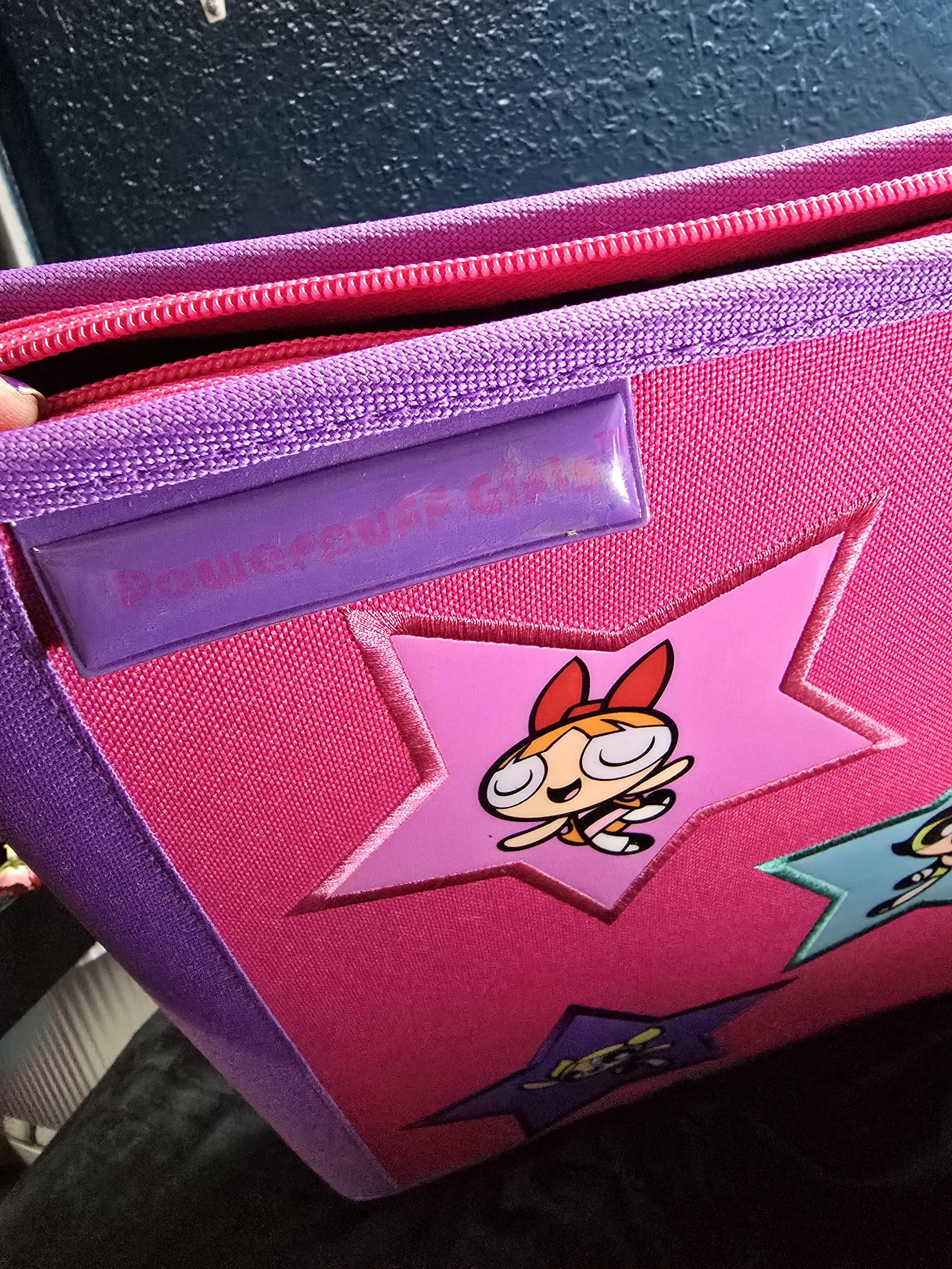 Powerpuff Girls 2000s Portfolio, School Folder Portfolio, Zipper Fabric ...