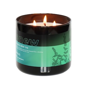 Rinnova - Tè alla menta eucalipto / Candela profumata a 3 stoppini / Cera fusa / Candela all&#39;eucalipto e menta verde / Cera fusa all&#39;eucalipto / Cera di soia naturale