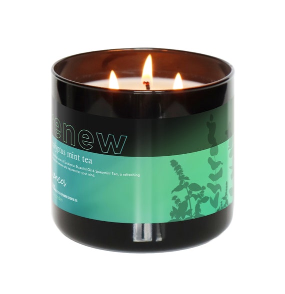 Renew - Eukalyptus-Minze-Tee | 3-Docht Duftkerze | Wachs schmilzt | Grüne Eukalyptuskerze | Eukalyptus Wachs Melts | Natürliches Sojawachs