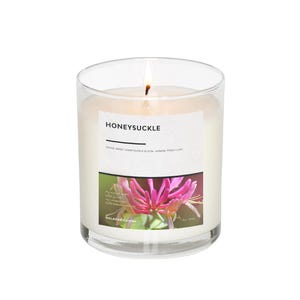 Può includere: Una candela in vetro trasparente in un barattolo con un'etichetta bianca su cui è scritto "Honeysuckle" e il testo "Notes: Sweet Honeysuckle Bloom, Jasmine, Fresh Lilac" e un'immagine di fiori di caprifoglio. La candela è accesa e la fiamma è visibile.