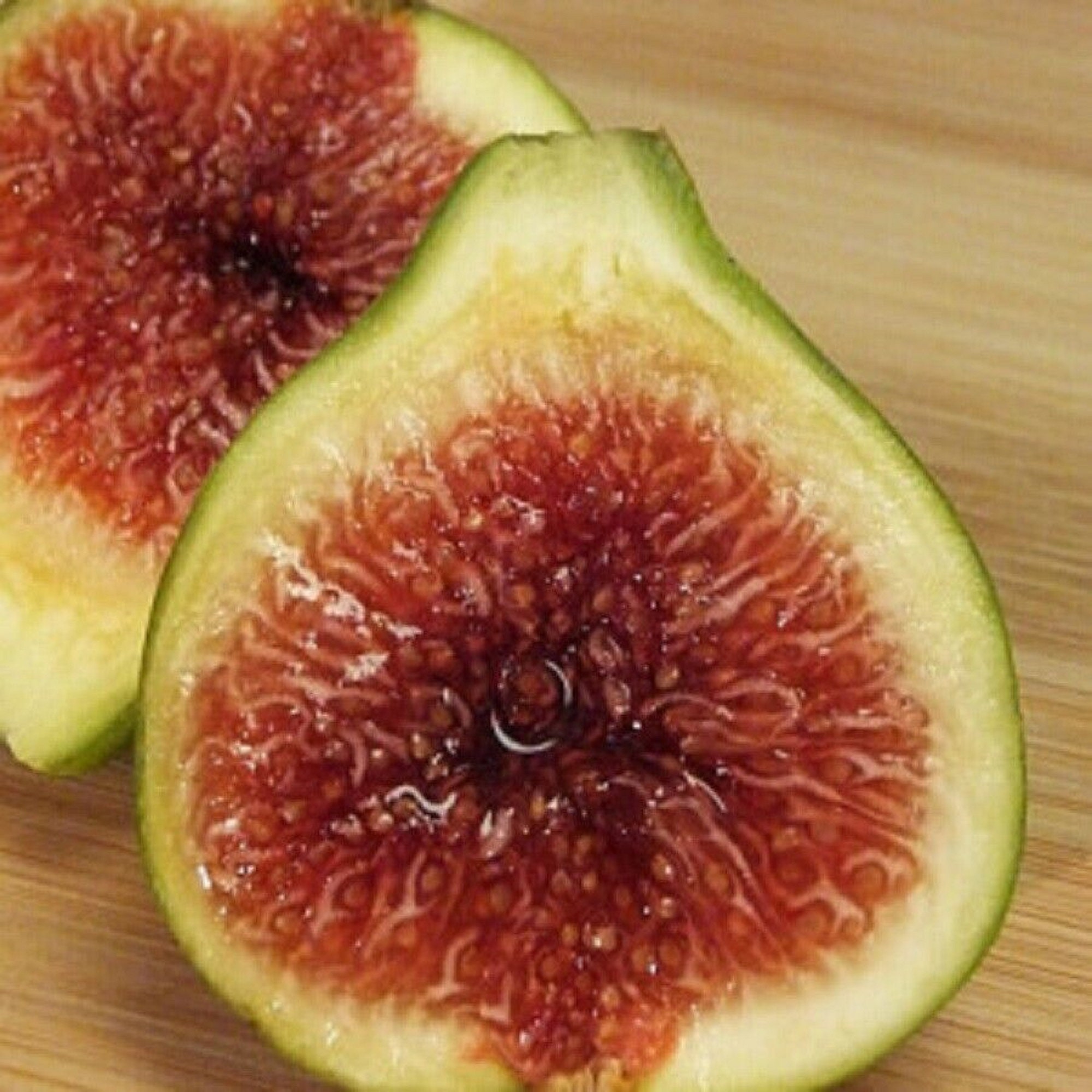 FIG 'GREEN ISCHIA' Starter Plant Approx 812 Inch dormant Leafless Etsy