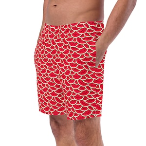 Watermelon Fruit Printed Swimming Trunks, All over Print Mens Swim Trunks, Summer Beach Trunks, Bathing Suit, Resort Wear, Watermelon Lover