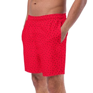 Watermelon Fruit Printed Swimming Trunks, All over Print Mens Swim Trunks, Summer Beach Trunks, Bathing Suit, Resort Wear, Watermelon Lover
