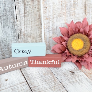 Mini Fall Shelf Sitter Blocks, Fall Stacking Blocks, Tiered Tray Decor, Mini Signs, Autumn Decor, Tiered Tray Sign, Pumpkin, Thanksgiving