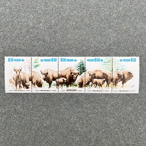 Vintage 1981 Poland Bison Stamps: Collectible Nature Series