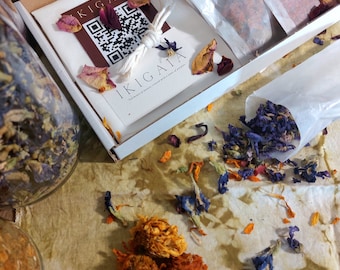 IKIGAIA | Natural Bundle Dye Kit | 5 colourful flowers to dye your own organic cotton hairscarf.