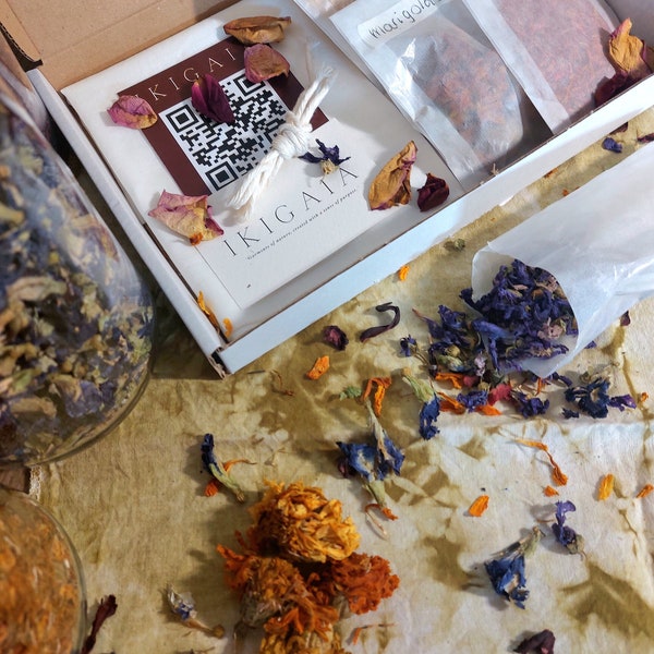 IKIGAIA | Natural Bundle Dye Kit | 5 colourful flowers to dye your own organic cotton hairscarf.