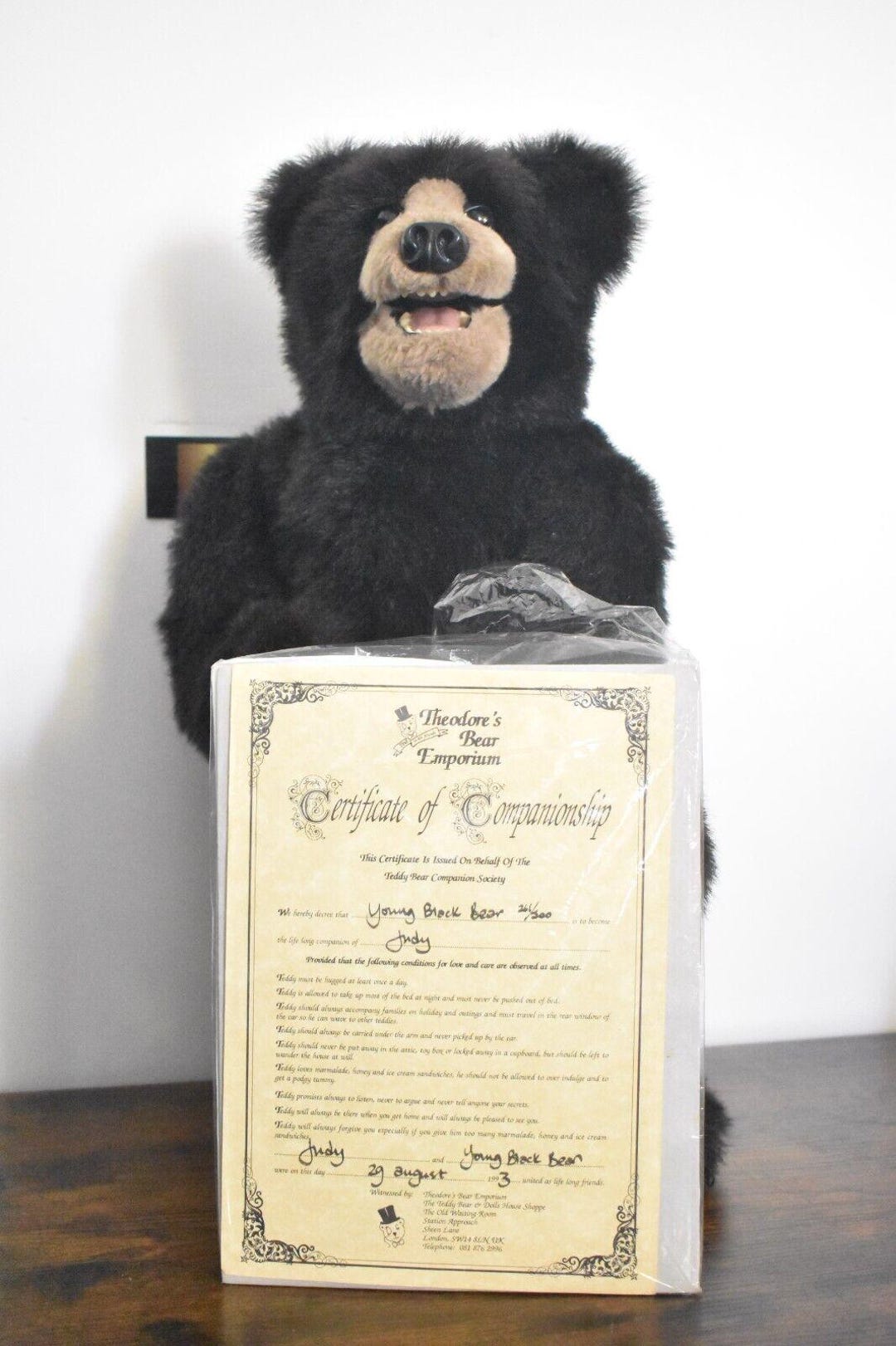 Vintage Artist Teddy Bear by Kaylee Nilan – Beaver Valley Young