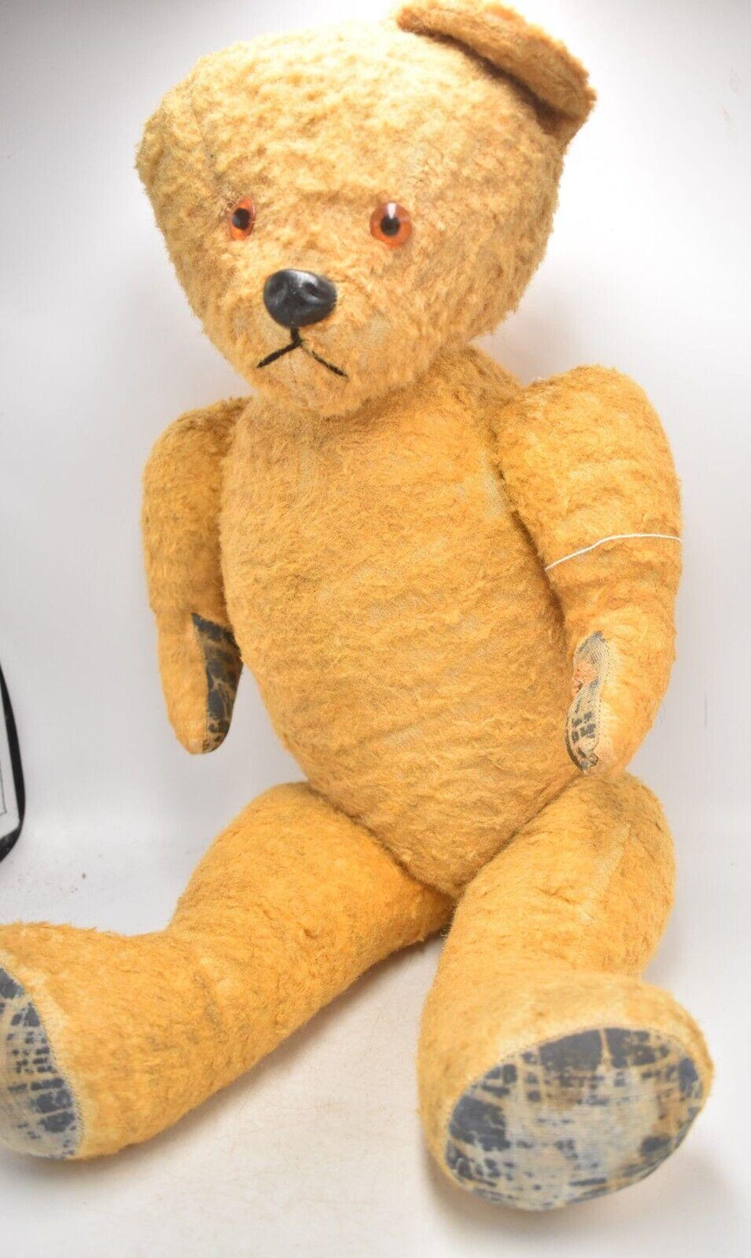 Pedigree teddy bear 1950s hotsell
