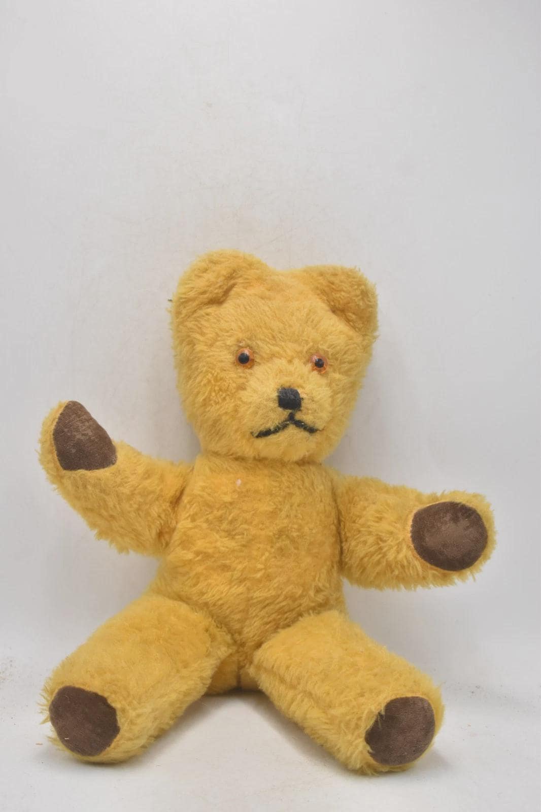 Pedigree Bear - Etsy Canada