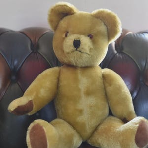 Pedigree Vintage Teddy Bear - Etsy