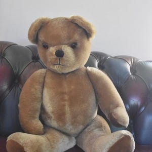 Pedigree Teddy Bear - Etsy Canada