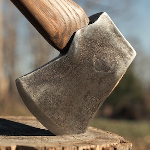 May include: Close-up of a weathered axe head with a wooden handle. The axe head is embedded in a tree stump. The axe head is made of metal and has a slightly curved blade. The wooden handle is a light brown color.