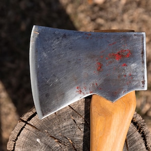 May include: Close-up of a metal axe head with a wooden handle. The axe head is silver with red markings and a sharp edge. The wooden handle is light brown. The axe is resting on a tree stump.