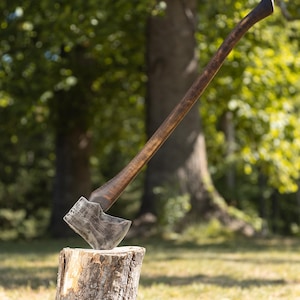 May include: Axe with a long, dark wooden handle and a silver-colored head, resting on a tree stump. The axe is positioned at an angle, with the blade embedded in the wood. The background features a blurred green forest.