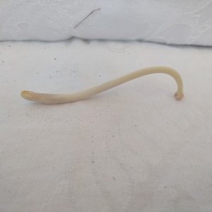 Animal Pecker Bone