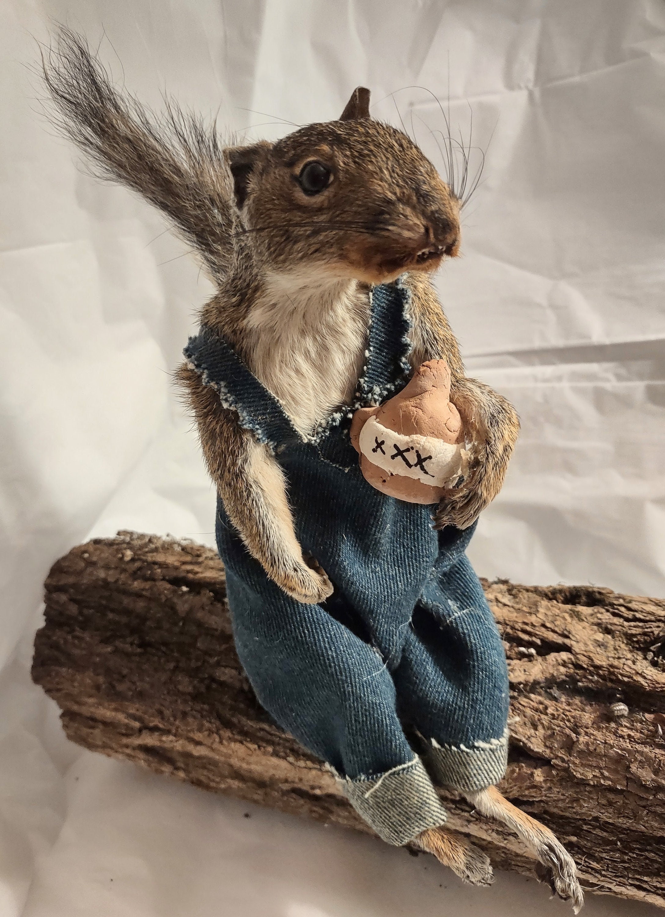 Funny Taxidermy