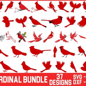 May include: A set of 37 red cardinal bird silhouette designs in various poses. The designs are perfect for crafting projects, scrapbooking, and digital design. SVG, PNG, DXF, and EPS file formats are included.