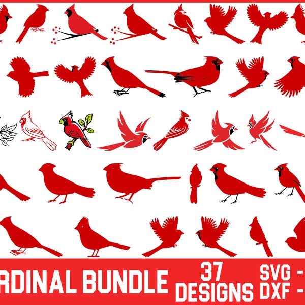 Cardinal SVG Bundle , Cardinal bird svg, Memorial svg, cardinal silhouette svg, Cardinal clipart , Cardinal on Branch svg.