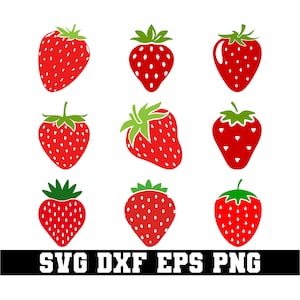 Op de afbeelding: Negen rode aardbei-illustraties met groene bladeren. De aardbeien zijn in verschillende vormen en maten.