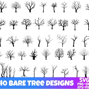 Albero spoglio in formato SVG, albero senza foglie, sagoma albero in formato SVG, albero invernale in formato SVG, albero morto in formato SVG, albero nudo PNG, ramo nudo in formato SVG, natura legno in formato SVG, PNG