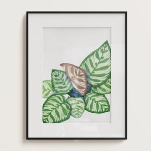 Calathea watercolor print, Peacock Plant art, botanical art, plant lover gift, Calathea leaves, houseplant watercolor print, plant art
