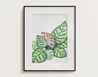 Calathea watercolor print, Peacock Plant art, botanical art, plant lover gift, Calathea leaves, houseplant watercolor print, plant art