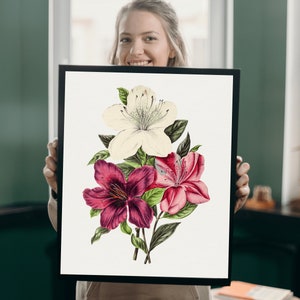 May include: A framed botanical illustration featuring three flowers. The flowers are white, pink, and purple with green leaves. The flowers are arranged in a bouquet.
