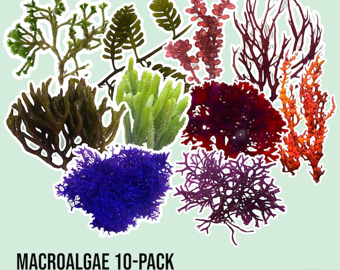 8-Quart Digital Air Fryer