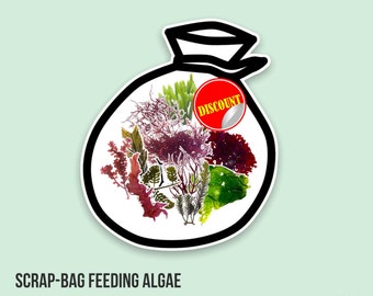 LIVE | Scrap Bag Macro Algae Scraps for Feeding | Macro Algae/Macroalgae Coral for Saltwater Reef Tank/Refugium/Aquarium