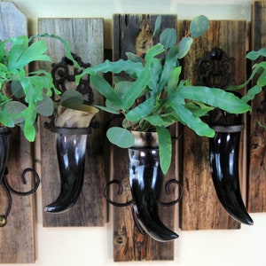 May include: Wall-mounted planters featuring polished black horn-shaped vases, each holding greenery. The vases are mounted on weathered wooden planks with decorative metal brackets. A rustic and natural home decor item.