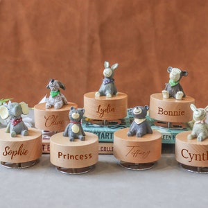 Caja de música de animales personalizada, caja de música de madera grabada personalizada, decoración para habitación infantil, regalo para baby shower, regalo de cumpleaños, caja de música de animales