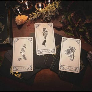 May include: A collection of tarot cards featuring botanical illustrations, including lemon balm, rhodiola, and St. John's wort. The cards are set on a dark wooden surface with a book and candles, creating a mystical aesthetic.