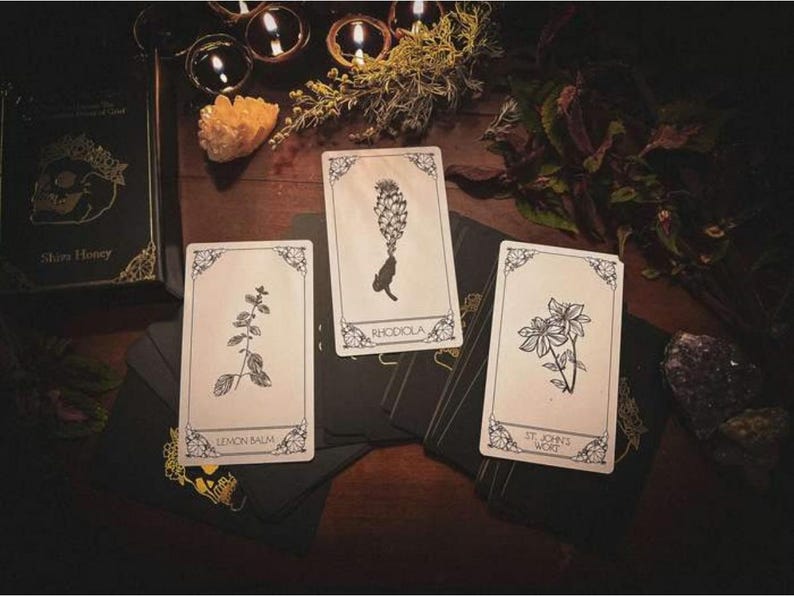 May include: A collection of tarot cards featuring botanical illustrations, including lemon balm, rhodiola, and St. John's wort. The cards are set on a dark wooden surface with a book and candles, creating a mystical aesthetic.