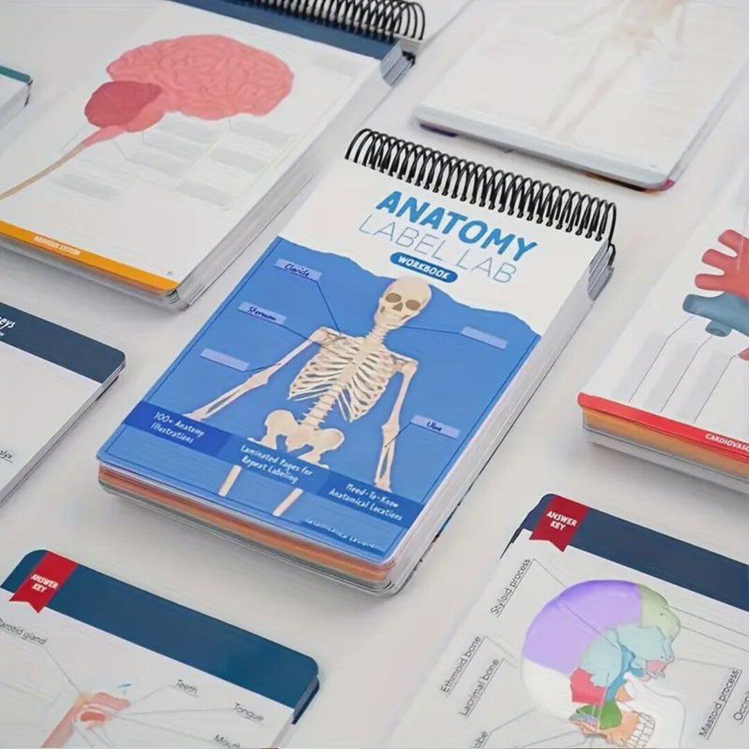 Anatomy and Physiology Workbook,anatomy and Physiology Study, Anatomy and Physiology Nursing ...