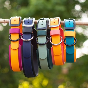 Dog on sale collars etsy