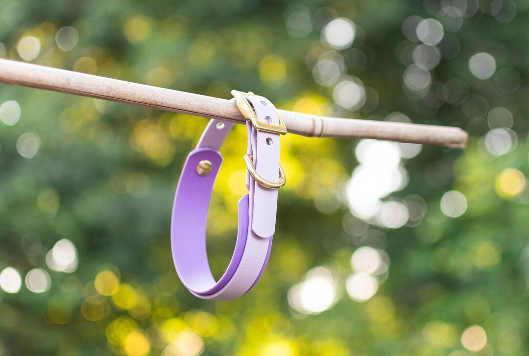 Custom 1 Double Layered Biothane® Collar 5/8 - Etsy