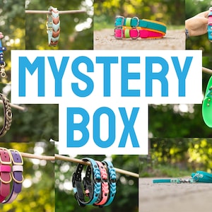 BioThane Mystery Boxes, Water Proof + Durable